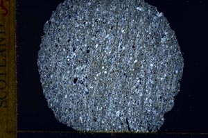 Cross Polarized, S31279