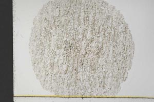 Plane Polarized, S31279