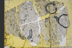 Plane Polarized, S31280/A