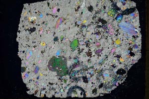 Cross Polarized, S31280/A