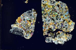 Cross Polarized, S31281