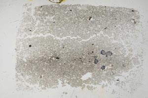 Plane Polarized, S31282