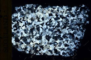Cross Polarized, S31296