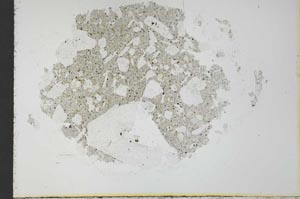 Plane Polarized, S31349