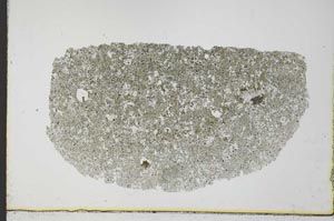 Plane Polarized, S31427