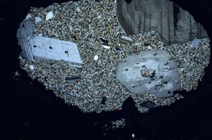 Cross Polarized, S31468