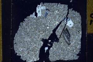 Cross Polarized, S31469