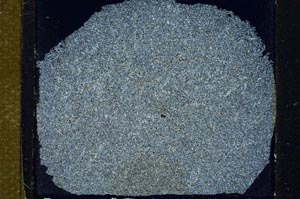 Cross Polarized, S31470