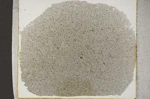 Plane Polarized, S31470