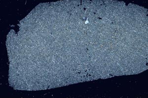 Cross Polarized, S31471