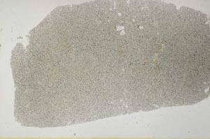 Plane Polarized, S31471