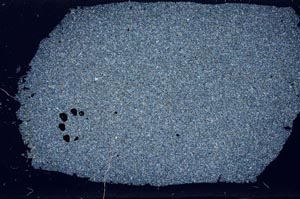 Cross Polarized, S31472