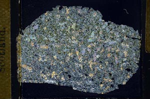 Cross Polarized, S31474