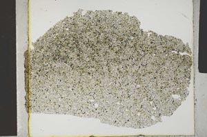 Plane Polarized, S31474