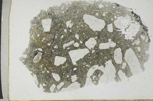 Plane Polarized, S31475