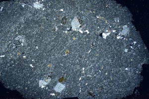 Cross Polarized, S31476