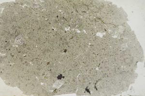 Plane Polarized, S31476