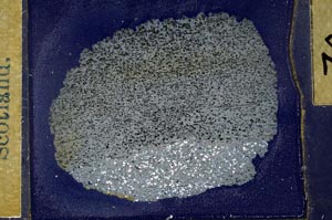 Cross Polarized, S31477