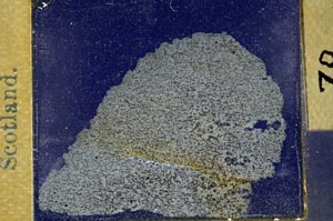 Cross Polarized, S31477/A