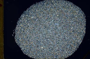 Cross Polarized, S31484