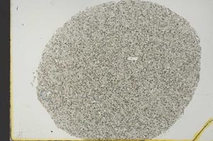 Plane Polarized, S31484