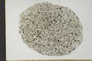 Plane Polarized, S31486