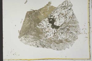 Plane Polarized, S31522