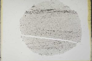 Plane Polarized, S31533