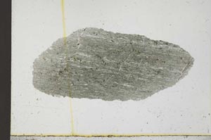 Plane Polarized, S31536