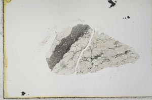 Plane Polarized, S31547