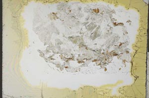 Plane Polarized, S31562