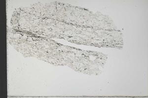 Plane Polarized, S31575