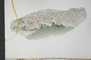 Plane Polarized, S31576