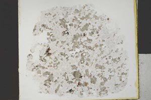Plane Polarized, S31579