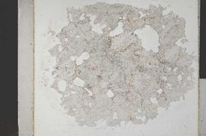 Plane Polarized, S31582