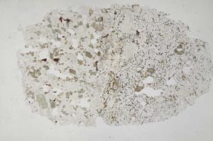Plane Polarized, S31587