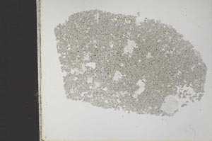 Plane Polarized, S31590