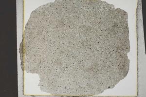 Plane Polarized, S31596