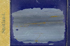 Cross Polarized, S31597