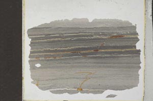 Plane Polarized, S31597