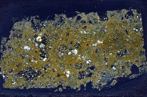 Cross Polarized, S31598