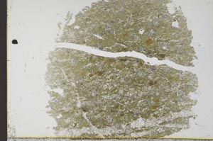 Plane Polarized, S31610