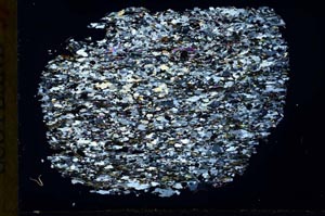 Cross Polarized, S31637