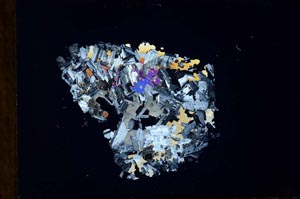 Cross Polarized, S31641