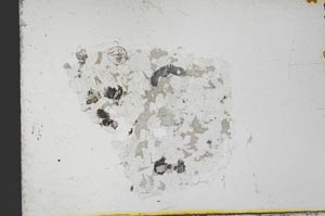 Plane Polarized, S31641