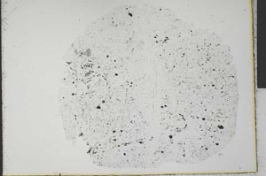 Plane Polarized, S31643