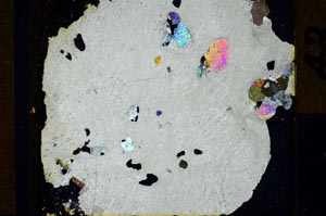 Cross Polarized, S31648