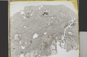 Plane Polarized, S31649