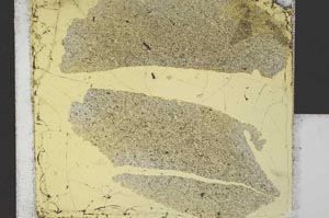 Plane Polarized, S31651