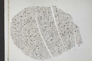 Plane Polarized, S31654